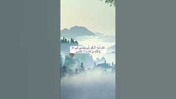 قال إنما أشكو بثي وحزني إلى الله قرآن تلاوة خاشعة 