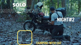 Solo MotoCamping / SoloRide / Camping with Cat / ASMR