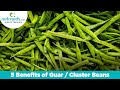 Top 5 benefits of guar  cluster beans