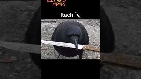 Akatsuki Meme #Shorts