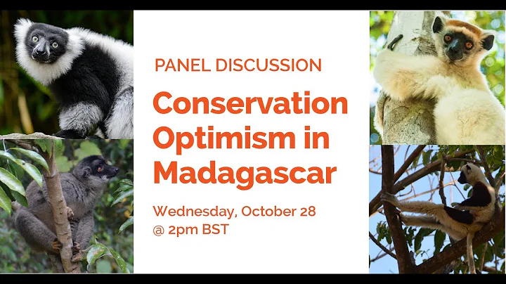 Panel Discussion on Conservation Optimism in Madag...