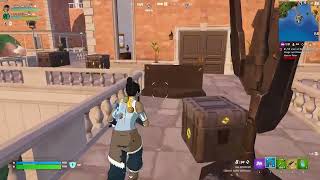 Fortnite With My Brother