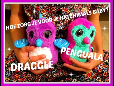 Hatchimals Nederlands: Hatchimals Baby verzorgen en verschillen tussen een Draggle en een Penguala