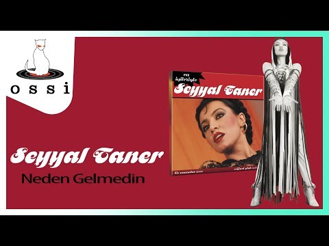 Seyyal Taner - Neden Gelmedin