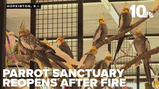 Foster Parrots Sanctuary reopening 5 years after fire screenshot 5