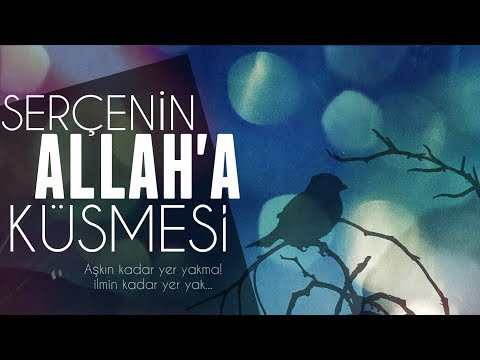 Serçenin Allah'a küsmesi! - (Aşkın kadar yer yakma, ilmin kadar yer yak!)