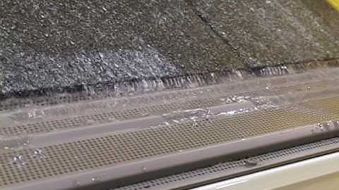 Leaf Terminator - Water Movement