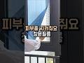 햇빛은 그대로, 자외선은 차단! 자취방 창문템 추천