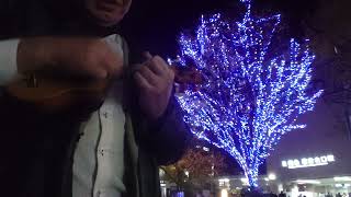 Winter Wonder Land Piccolo Ukulele Solo ピッコロウクレレソロ