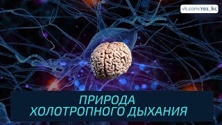 ПРИРОДА ХОЛОТРОПНОГО ДЫХАНИЯ