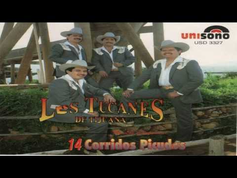 Tucanes De Tijuana Los Mejores 14 Corridos Picudos Mix