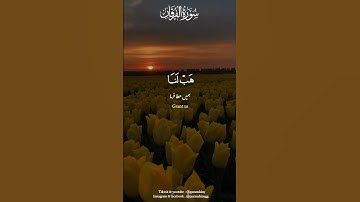 { والذين يقولون ربنا هب لنا من أزواجنا وذرياتنا قرة أعين واجعلنا للمتقين إماما }[سورة الفرقان: ٧٤]