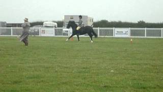 P1020115