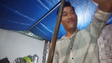 Lấy tiết rắn hổ trâu uống rượu