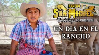 CONOCIENDO LAS INSTALACIONES DE RANCHO SAN MIGUEL DE JORGITO PINEDA, UNA GANADERIA CON FUTURO 🇲🇽