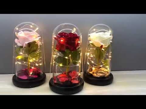 Вічна троянда в скляній колбі з підсвічуванням, гарна троянда лід з підсвічуванням Маленька A-54 Рожева, відео 1