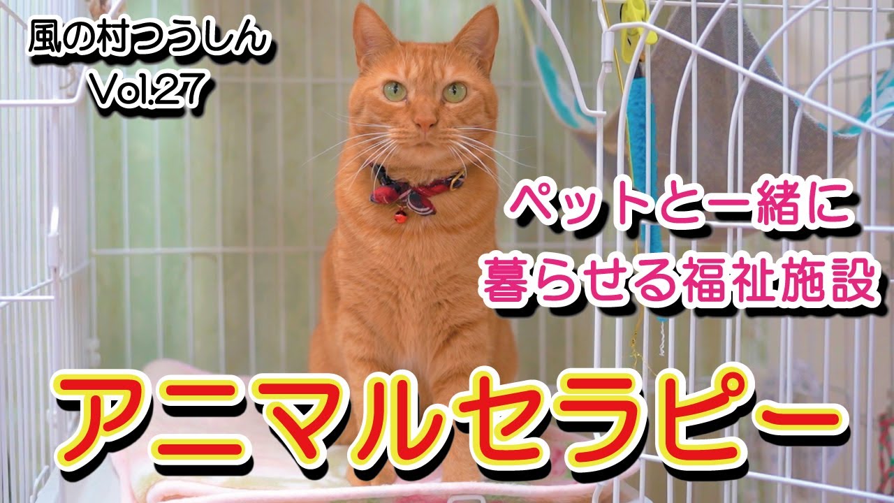 アニマルセラピー～ペットと一緒に暮らせる高齢者施設～ - YouTube