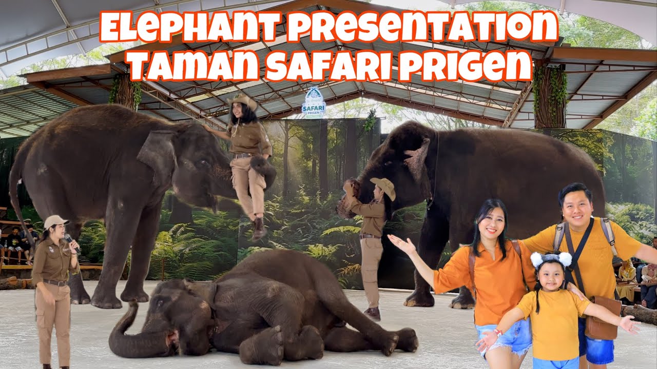 ELEPHANT PRESENTATION TAMAN SAFARI PRIGEN TERBARU 2025 | WISATA JAWA TIMUR | ATRAKSI GAJAH | SHOW