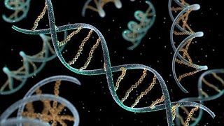 Microsoft joins the drive to store data in DNA