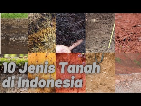 10 Jenis Tanah di Indonesia dan Ciri-cirinya