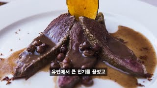 하필 타조를 먹게 된 이야기