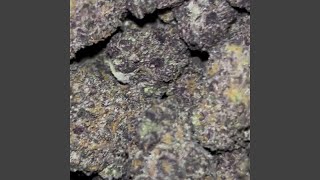 Damn DJ (slowed) - FK-DJ