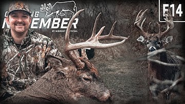 Rattling In A Public Land Bruiser, Hunting The Lockdown Phase Of The Rut