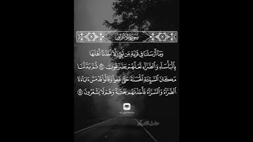 وما أرسلنا في قرية من نبي إلا أخذنا أهلها بالبأساء والضراء #سورة_الأعراف #ماهر_المعيقلي #حامل_القرآن