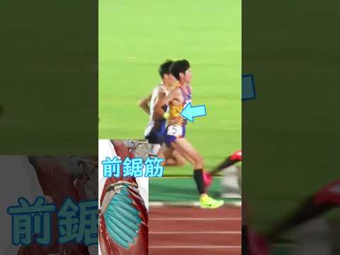 【全国高校駅伝特集】大濱逞真選手選手・仙台育英高３年！ろっ骨周りを安定させて、脚を大きく脱力して動かすフォーム！ #全国高校駅伝 #都大路