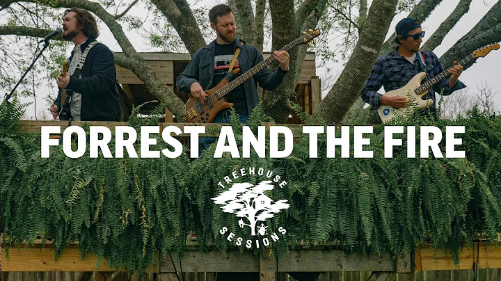 Forrest and the Fire - In The Ether | Treehouse Se...