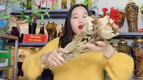 TÁC DỤNG CỦA HOA TUYẾT LIÊN SƠN - SIÊU THỊ BẢO KHÁNH