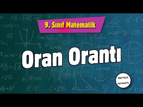 Oran Orantı | 9.Sınıf Matematik | 2024