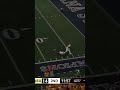 Gold Rush 👀 #tommy #mellott #fcs #montanastate #bobcats #touchdown #highlight #lasvegas #raiders