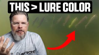 Celebrity Fish Notice THIS Before They Notice Lure Color (Underwater Experiment) Profile