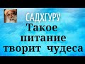 Садхгуру - Такое питание творит чудеса.