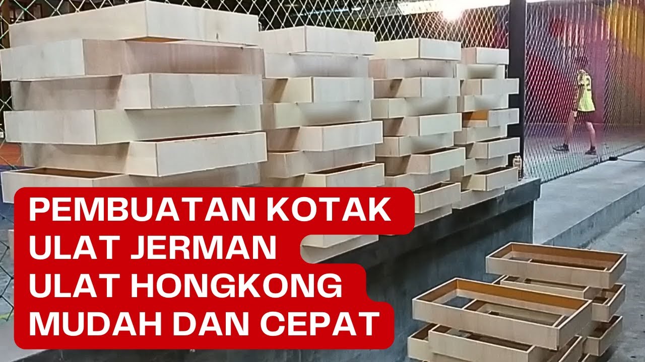 CARA MUDAH DAN CEPAT PEMBUATAN KOTAK ULAT JERMAN DAN KOTAK ULAT HONGKONG