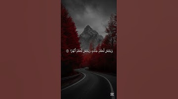قرآن كريم بصوت جميل للقارئ ماهر المعيقلي #قرآن_كريم #quran #ماهر_المعيقلي