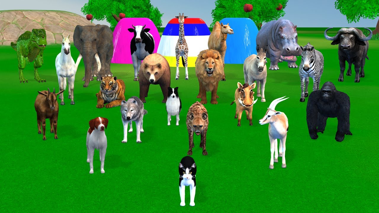 Long Slide Game with Cow Elephant Gorilla Hippopotamus Tiger 3d Animal Game Funny 3d Animals