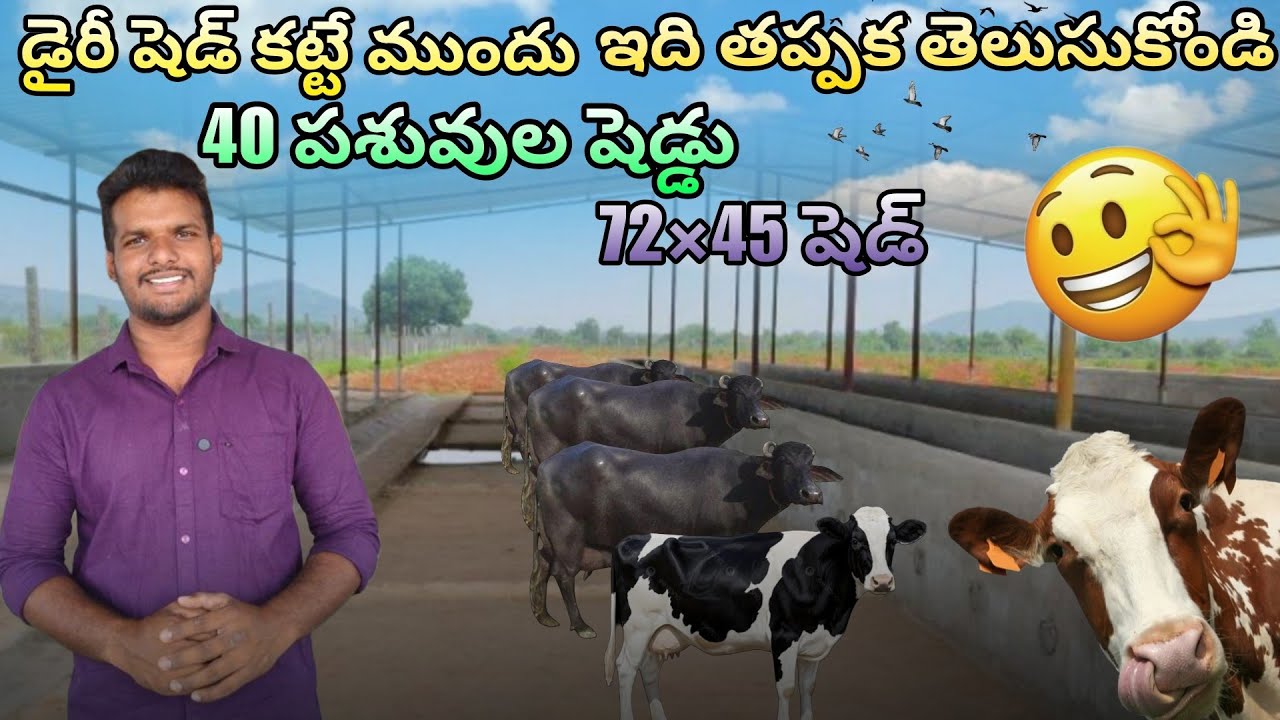  నా చేతులతో కట్టుకున్న డైరీ ఫారమ్ షెడ్ – స్టెప్ బై స్టెప్ పూర్తి వివరాలు...🐃🐄