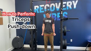 How to Perform: Triceps Push Down with a Band by GoTherex | Personalized Training 19 views 2 weeks ago 1 minute, 19 seconds