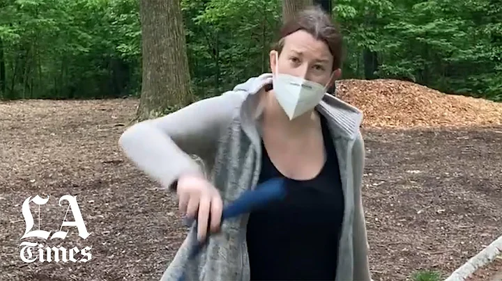 Amy Cooper apologizes after Central Park confronta...
