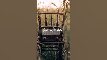 سورة البلد بصوت القارئ محمد صديق المنشاوي #صوت_من_السماء #المنشاوي_قارئ_القلوب