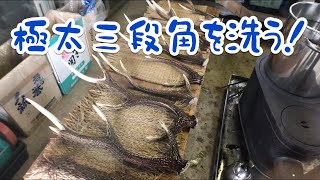 真冬でも凍らない湧水で鹿の角を洗う！それはクレソン、マコモタケの群生池たった