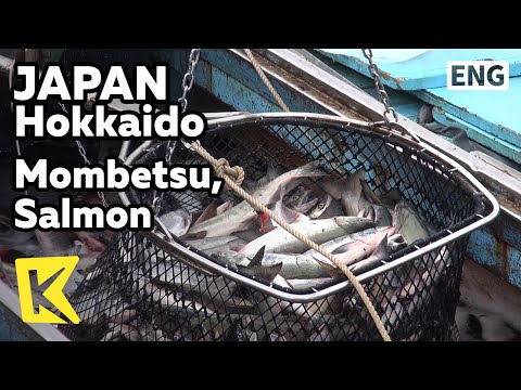 【K】Japan Travel-Hokkaido[일본 여행-홋카이도]몬베쓰, 오호츠크 해의 선물 연어/Mombetsu/Salmon/Harbor/Sea