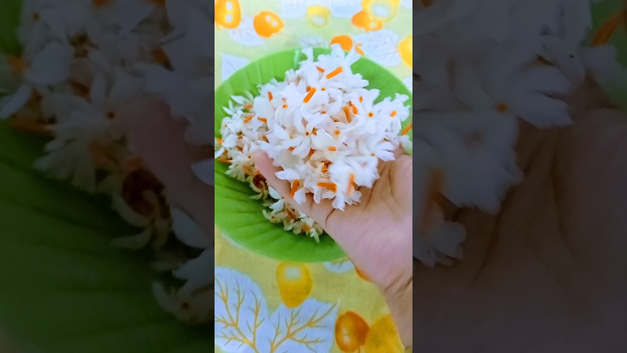Fried Rice with Night Jasmine flower/Parijaat/Recipe 