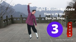 Ba Duan Jin 03 (Eight Section Brocade): Tiao Li Pi Wei Dan Ju Shou Ba Duan Jin 03 (Eight Section Brocade): Tiao Li Pi Wei Dan Ju Shou