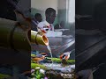 nkalalolela by John chilufya ft Nedson