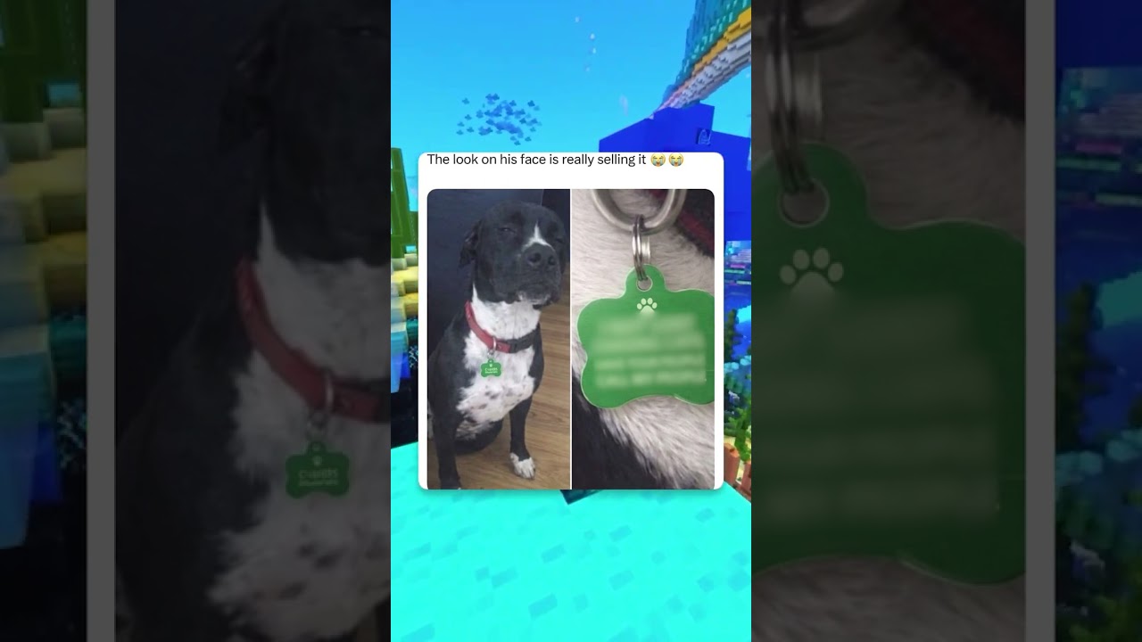 Он в курсе дела 👀