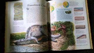 Content Literacy Evolution Text Set