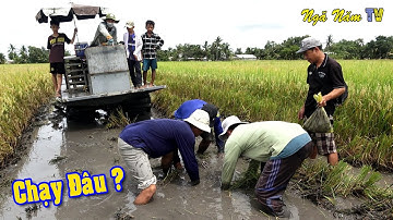 Săn Bắt Cá Bắt Chuột Theo Máy Cắt Thấy Mê - Tiệc Nhậu Đậm Chất Miền Tây/NGÃ NĂM TV